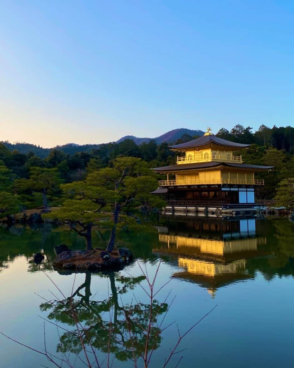 芹那のインスタグラム