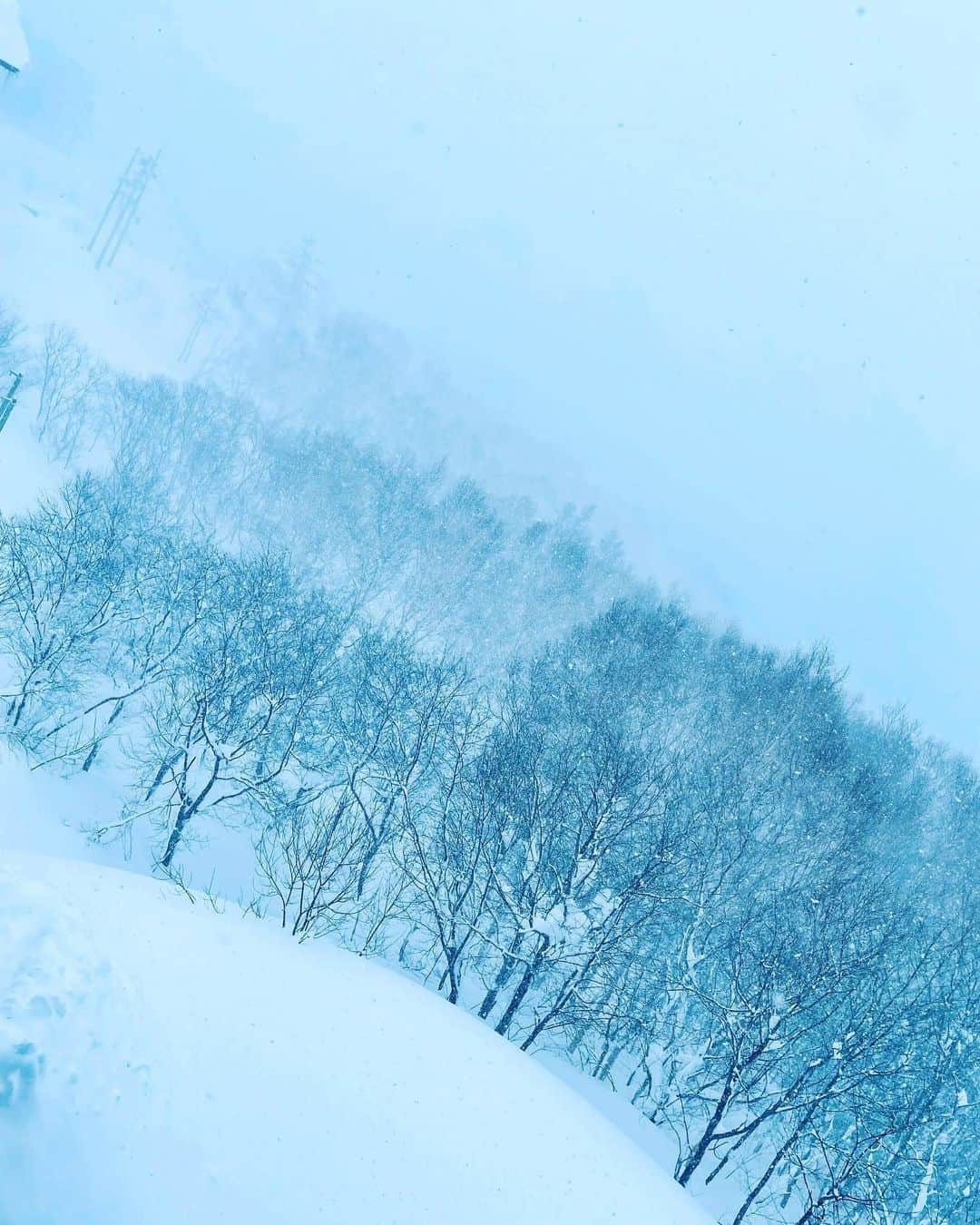 大草直子さんのインスタグラム写真 - (大草直子Instagram)「すごい雪☃️。総勢10人以上の男子＋大人で、雪かき。かいてもかいても降り積もるが。ところで、駐車場の坂は登れるのか。頑張れ、BOYS TEAM！ #昨日たどりついて #今日帰る #きっと飲みに来ただけ #楽しかった」1月5日 9時10分 - naokookusa