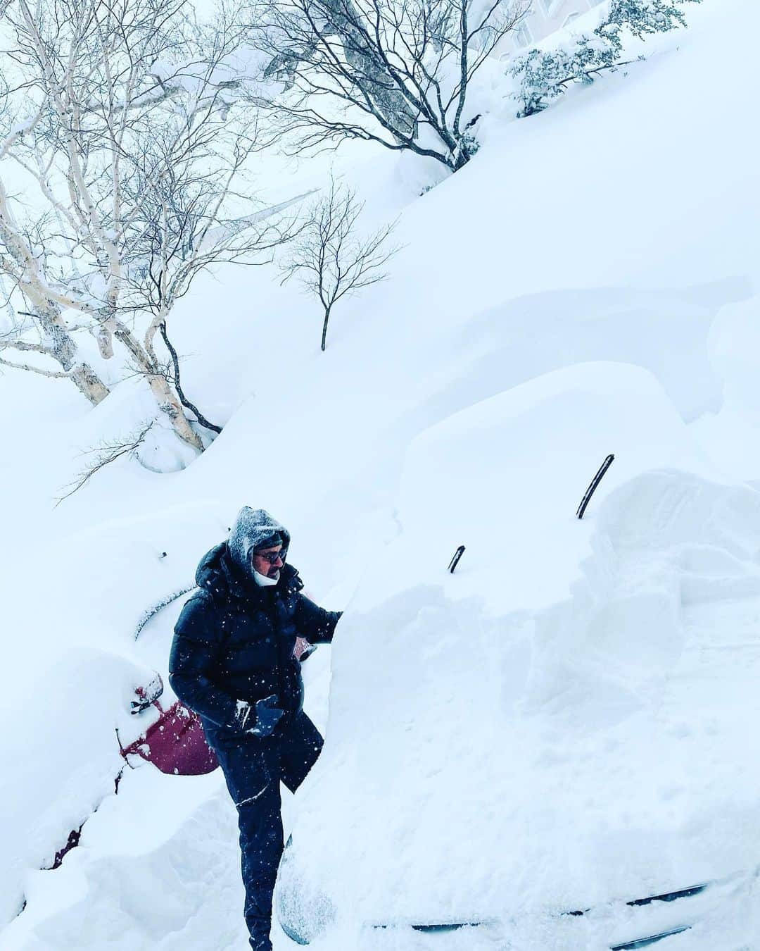 大草直子さんのインスタグラム写真 - (大草直子Instagram)「すごい雪☃️。総勢10人以上の男子＋大人で、雪かき。かいてもかいても降り積もるが。ところで、駐車場の坂は登れるのか。頑張れ、BOYS TEAM！ #昨日たどりついて #今日帰る #きっと飲みに来ただけ #楽しかった」1月5日 9時10分 - naokookusa