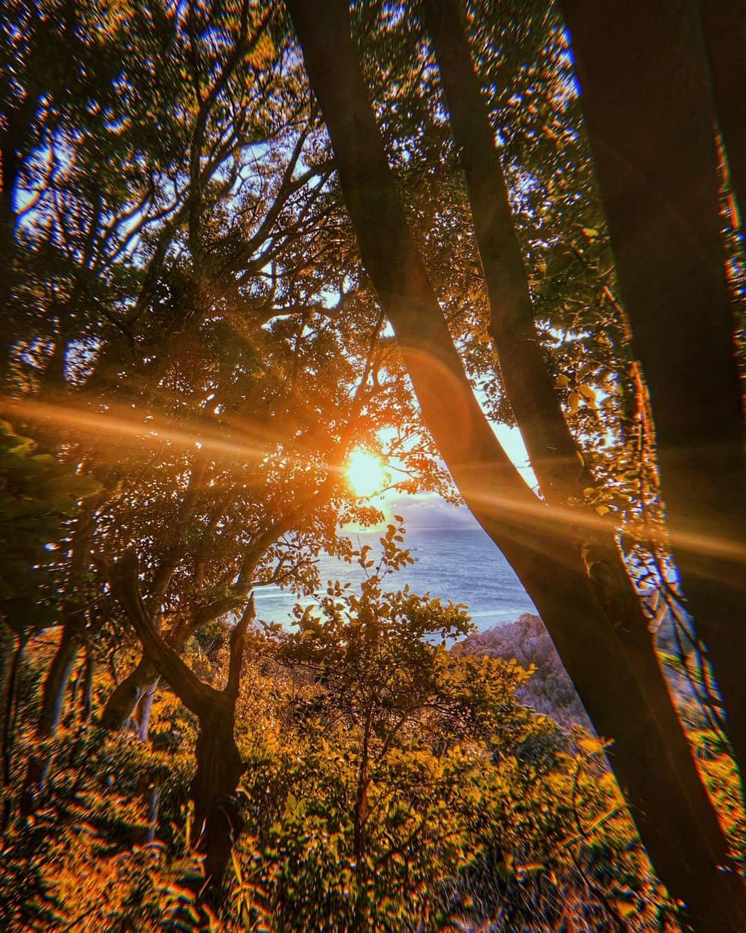 村元哉中のインスタグラム：「HAPPY NEW YEAR !!! 🥳 新年明けましておめでとうございます！ 2022年 初日の出 🌅✨ 今年もよろしくお願い致します🐯❤️‍🔥」
