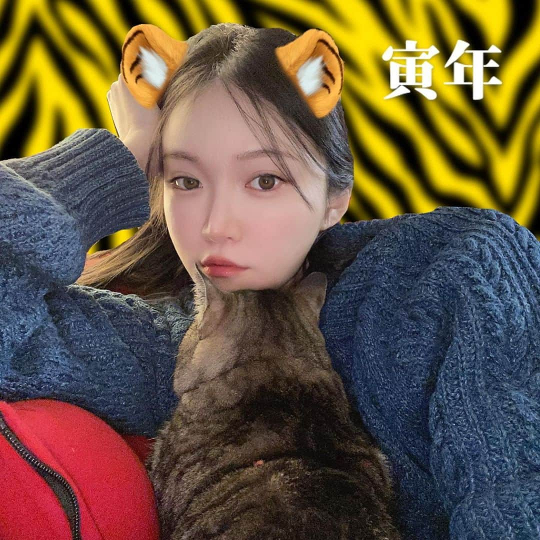 DJ mariennuのインスタグラム：「2022年寅年🇯🇵 寝正月🐅🎍→冬眠🐿🦇🐢🐍 endless🔁sleepy🐈💤  #寝正月」