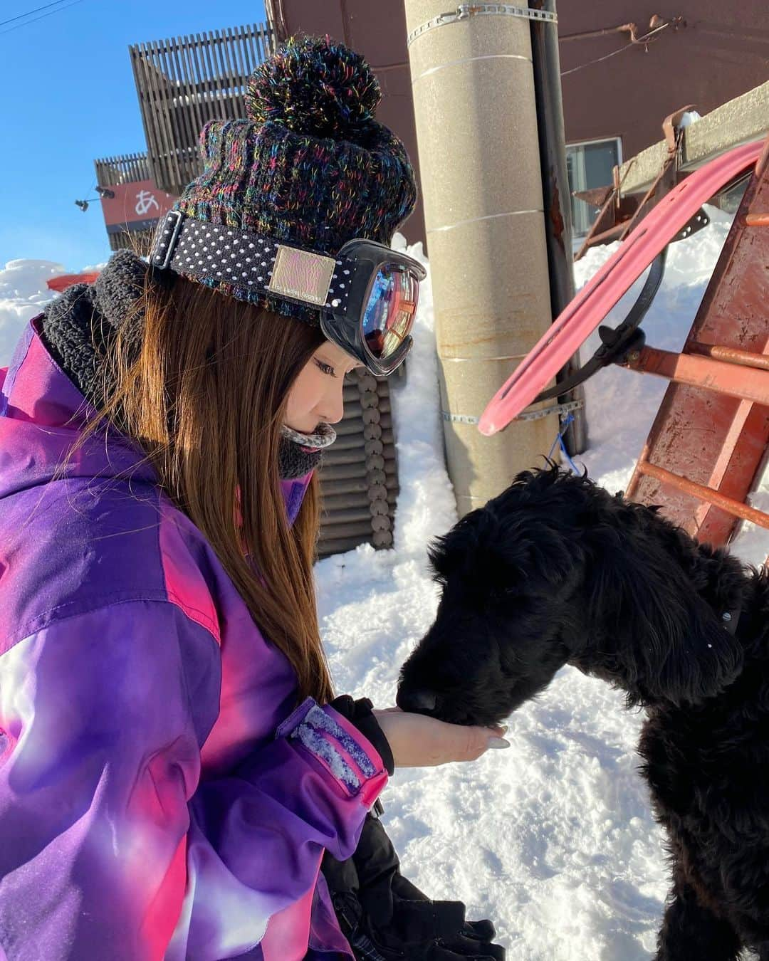 愛弓りょうさんのインスタグラム写真 - (愛弓りょうInstagram)「ゲレンデにワンちゃん🐕‍🦺 大人しくて良い子で可愛すぎた🥰 ・ ・ ・ ・ #ワンちゃん #ゲレンデにわんちゃんがいる #スノボ #スノボー女子 #初滑り #愛弓りょう #セクシー女優」1月5日 18時13分 - ryo_ayumi1027