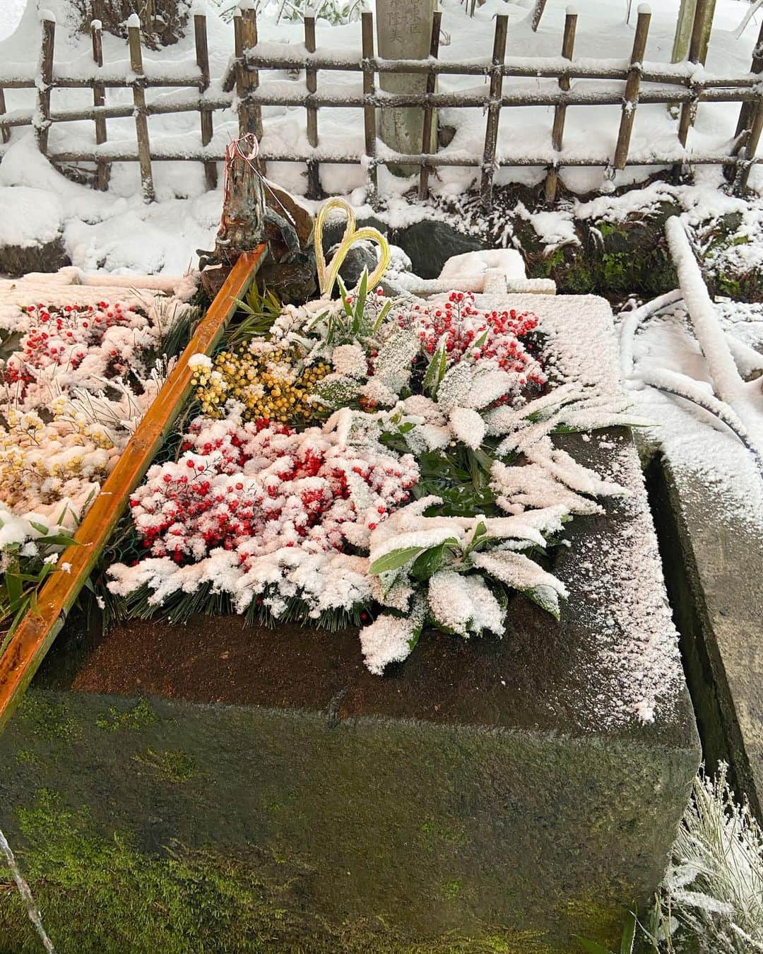 渡辺有子さんのインスタグラム写真 - (渡辺有子Instagram)「初詣⛩  伊佐須美神社へ。 雪が降るなかのお詣りも初めてでした。」1月5日 9時59分 - yukowatanabe520