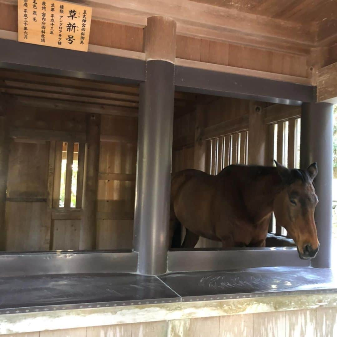 新山千春さんのインスタグラム写真 - (新山千春Instagram)「昨日、伊勢から帰ってきました！  さぁてと！ 気を引き締めて  1日1日を大事に  今年も楽しく 仕事！ 頑張っていこうかな✨  #伊勢 #おみくじ #もあ 大吉 #わたし 小吉 #さるめ神社 #伊勢神宮 #おかげさま #猿田彦神社」1月5日 14時50分 - chiharuuu_0114