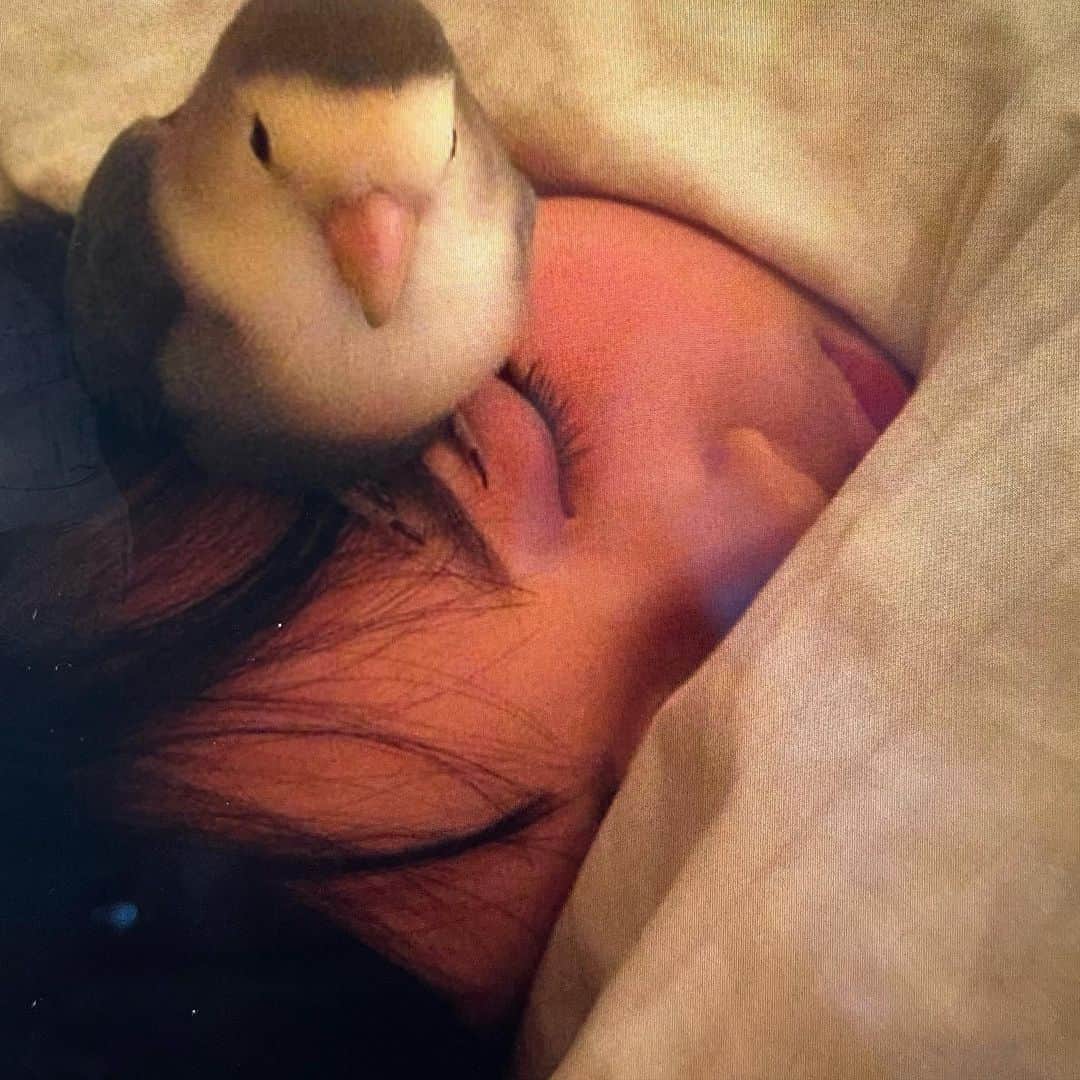 行正り香さんのインスタグラム写真 - (行正り香Instagram)「ひびきちゃんと長女かりん。仲良しショット。懐かしい。ひびきの後に飼ったハクは、いたずらっ子ですが、だんだん穏やかになってきました。#行正り香 #rikayukimasa #parrot」1月5日 19時24分 - rikayukimasa
