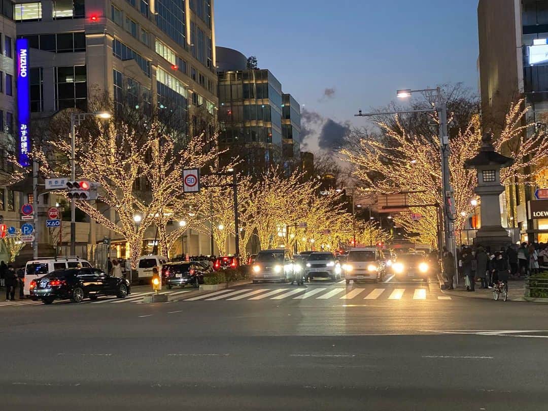のインスタグラム：「💫 . 冬だけってのがいいんだよなあ☃️ 寒くて外出るの嫌だけど イルミネーションに励まされる笑 . #表参道 #イルミネーション」