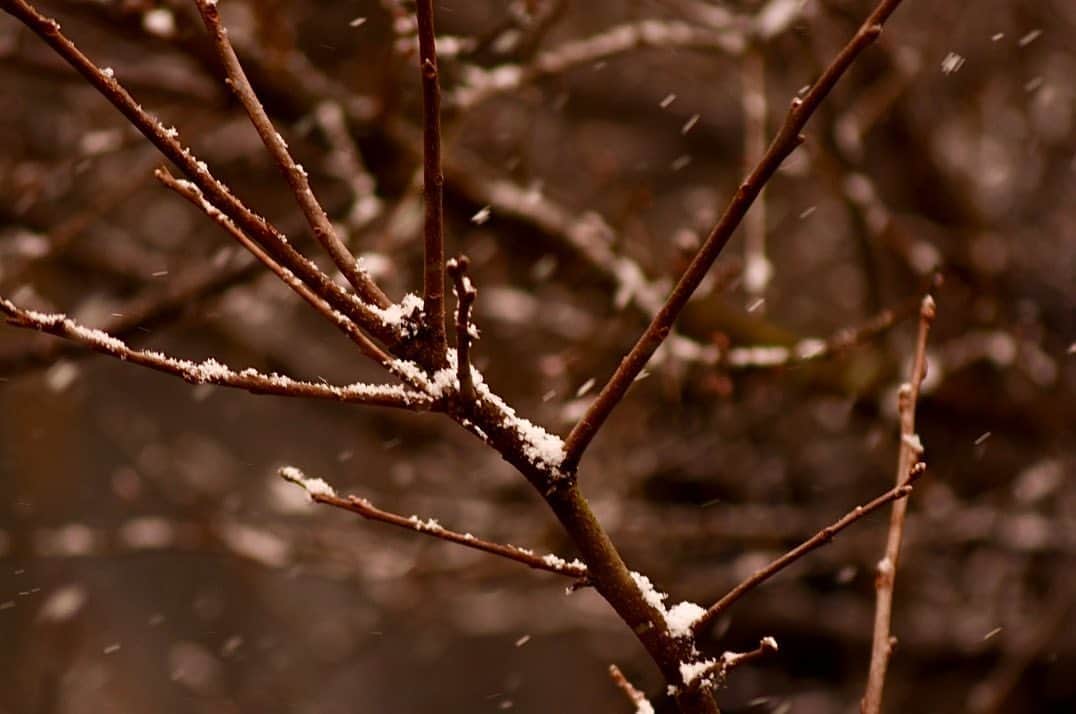 拓磨さんのインスタグラム写真 - (拓磨Instagram)「今日寒いな〜と思って外見たら雪降ってた☃️ そんなに積もってはないけど。  今年も宜しくお願いします」1月6日 13時04分 - takuma724