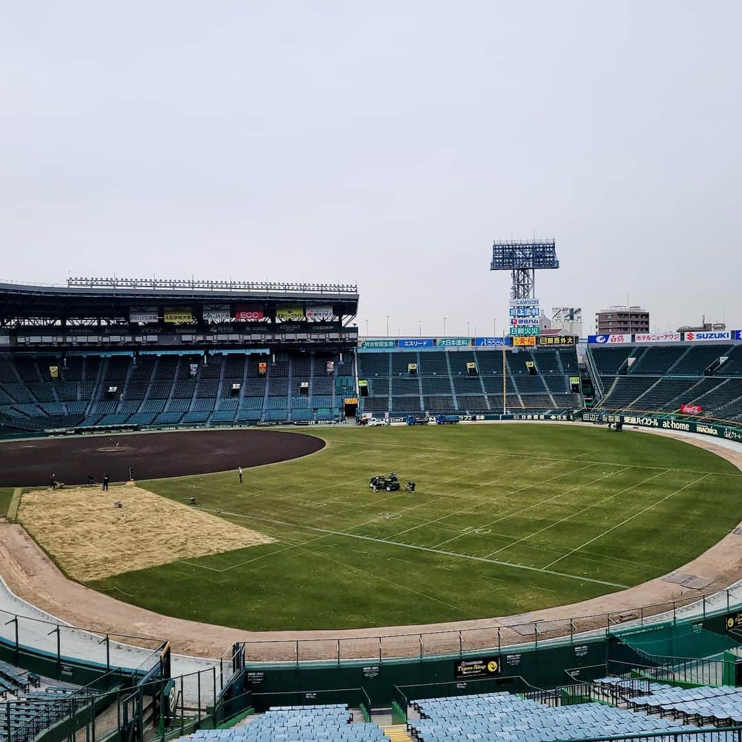 青柳晃洋のインスタグラム：「今年初甲子園で練習してきました！ こんなに早い時期から僕たちのプレーしやすい球場を作ってくれてる阪神園芸の方達には感謝しかないです！ 今年も１年最高の球場をよろしくお願いします🙇 #阪神園芸」