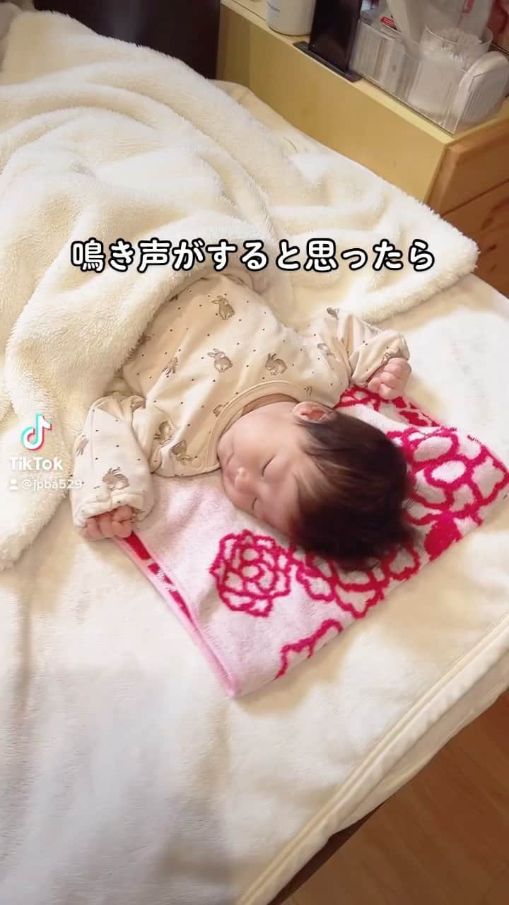 坂本詩緒里のインスタグラム：「なんちゃん😹  #猫のいる暮らし #赤ちゃんがいる生活 #猫 #ねこすたぐらむ #ベビー #べびすたぐらむ #赤ちゃん #女の子ベビー #仲良し #猫と赤ちゃん #癒し #かわいい #育児 #プレママ #親バカ #baby #cat #catstagram」