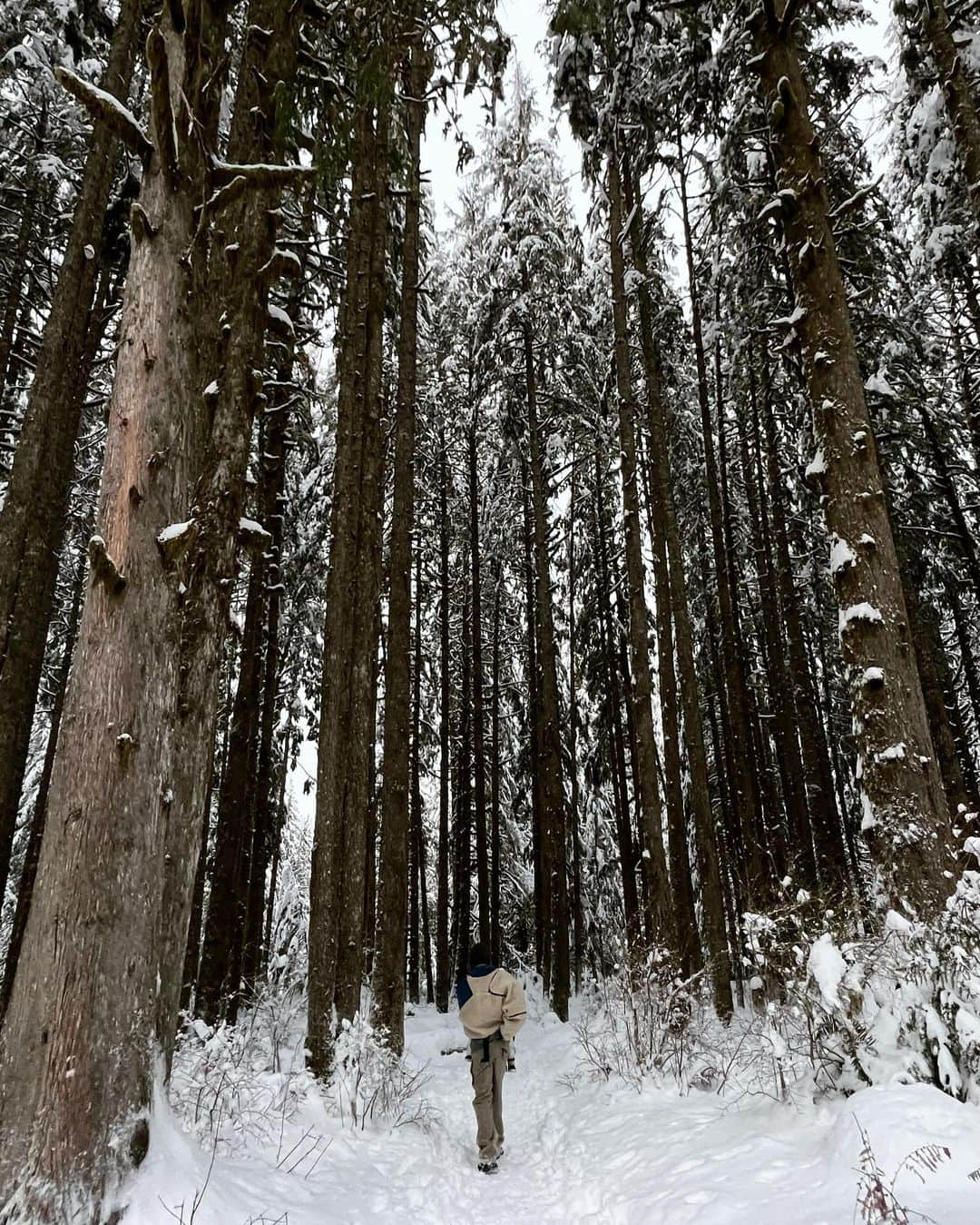 佐原モニカさんのインスタグラム写真 - (佐原モニカInstagram)「2022🐣 Winter Wonderland」1月6日 13時17分 - moni_saha