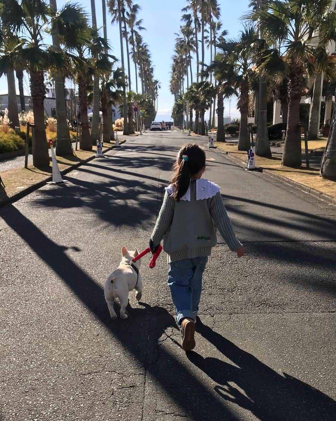 父べえのインスタグラム：「昨日の映え散歩🌴 今日は雪降ってます❄️」