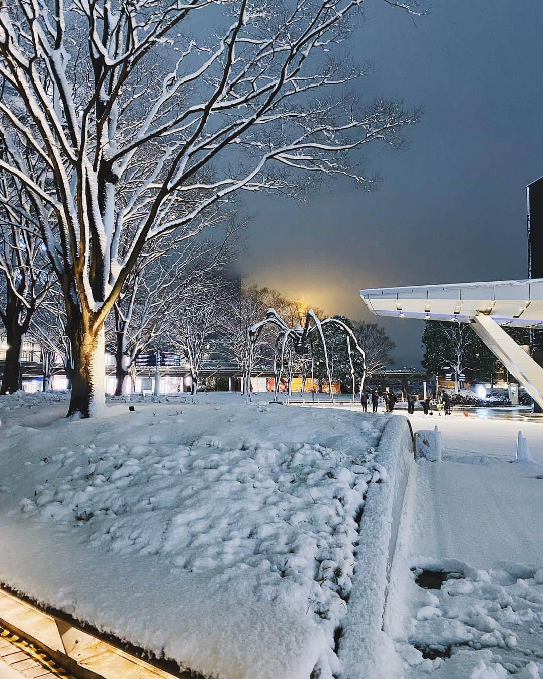 白波瀬海来さんのインスタグラム写真 - (白波瀬海来Instagram)「六本木から見える雪景色と東京タワー🗼💙 #雪」1月6日 21時00分 - kyra.97