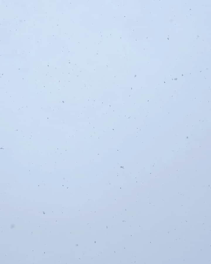 towanaのインスタグラム：「❄️」