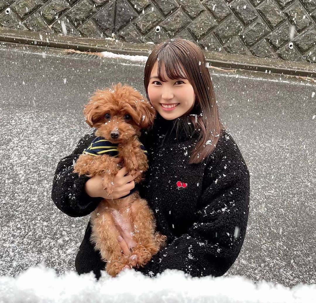 坂東遥さんのインスタグラム写真 - (坂東遥Instagram)「☃️🐶❄️  雪ーー❕  るんるんしちゃった🎶☃️」1月6日 21時21分 - b.haruka1103