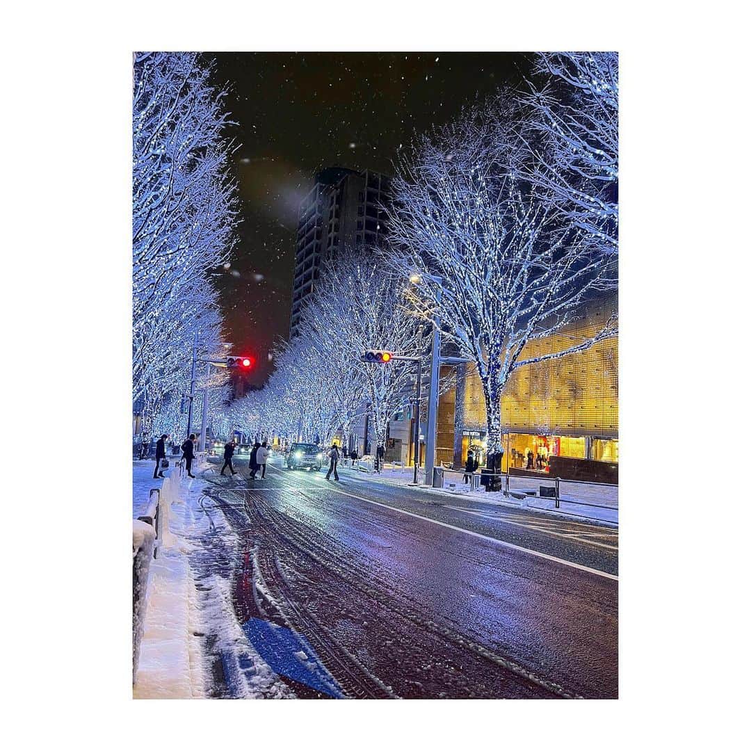三谷紬さんのインスタグラム写真 - (三谷紬Instagram)「* 今日の六本木は別世界でした❄️ こんな日こそカメラを持っていれば…… これから持ち歩くようにしようかな…📷 すべてスマートフォンで撮影したのですが カメラの性能に拍手👏🥺❤︎ * #snow#snowday#❄️#雪#雪の日#六本木#roppongi#iphone撮影#iPhone#白銀#世界#けやき坂#毛利庭園#六本木交差点#芋洗坂#テレビ朝日#アナウンサー#三谷紬」1月6日 21時28分 - mitani_tsumugi