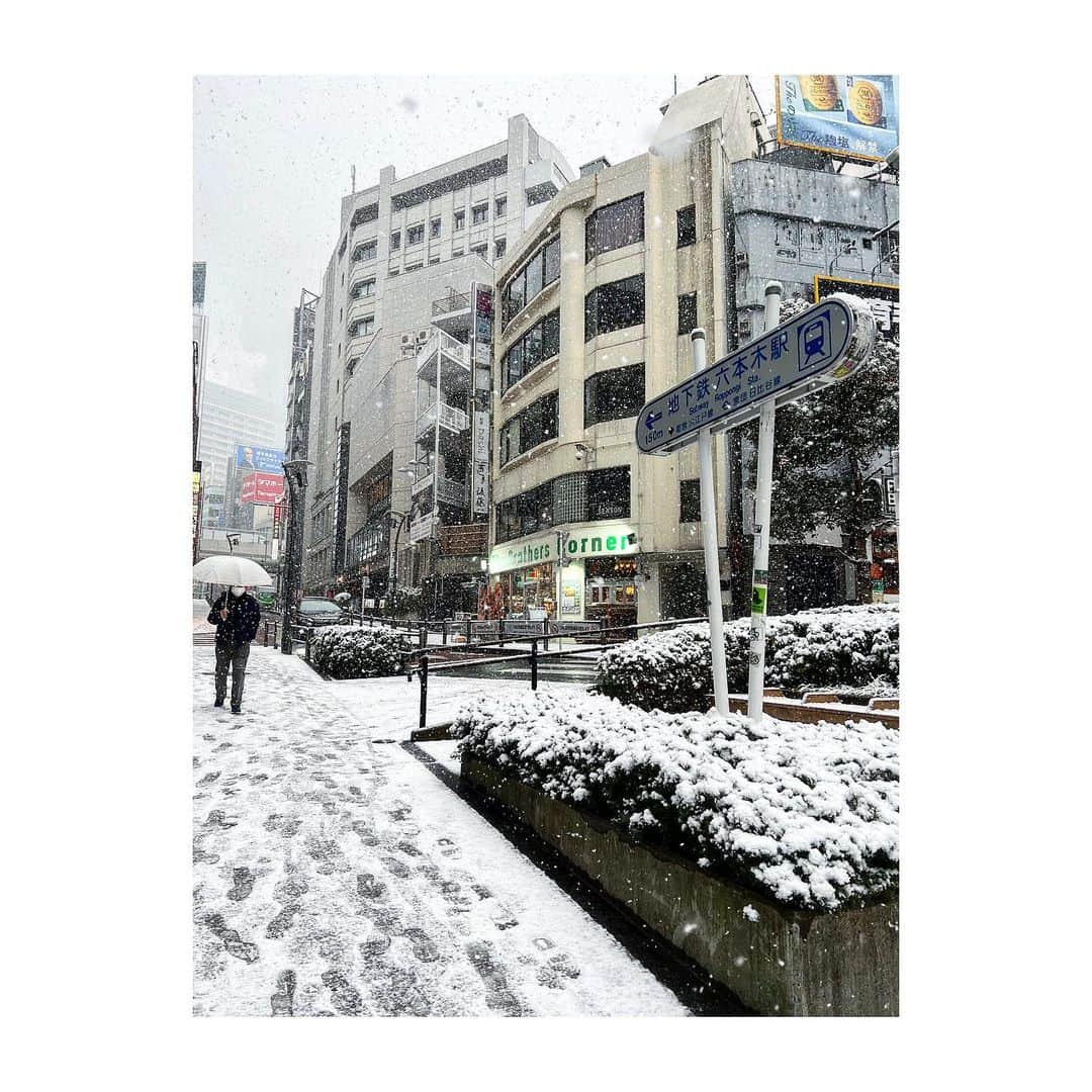 三谷紬さんのインスタグラム写真 - (三谷紬Instagram)「* 今日の六本木は別世界でした❄️ こんな日こそカメラを持っていれば…… これから持ち歩くようにしようかな…📷 すべてスマートフォンで撮影したのですが カメラの性能に拍手👏🥺❤︎ * #snow#snowday#❄️#雪#雪の日#六本木#roppongi#iphone撮影#iPhone#白銀#世界#けやき坂#毛利庭園#六本木交差点#芋洗坂#テレビ朝日#アナウンサー#三谷紬」1月6日 21時28分 - mitani_tsumugi