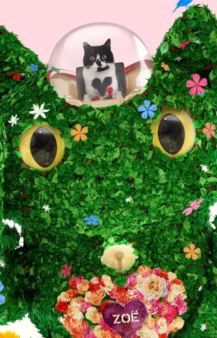 のインスタグラム：「Always wanted to own your own Zoë? Now you can! Zoë has been turned into a super cool NFT by @maxximegirault, which launches tomorrow! The NFC Neko Collection launch by @taikonft is on Binance NFT on January 7th at 11 AM. Zoë is pledging to charity @kattenbeschermingnederland with this project. See our story highlights for info on how to purchase your own box and join the project discord for more info (Link in Bio).   We know that many people are concerned about the environmental aspects of NFTs, and so are we! Not to worry, we made sure this project is minted on the @binancenft marketplace which is not based on Ethereum. It is one of the most environmentally friendly, energy efficient and sustainable options around.」