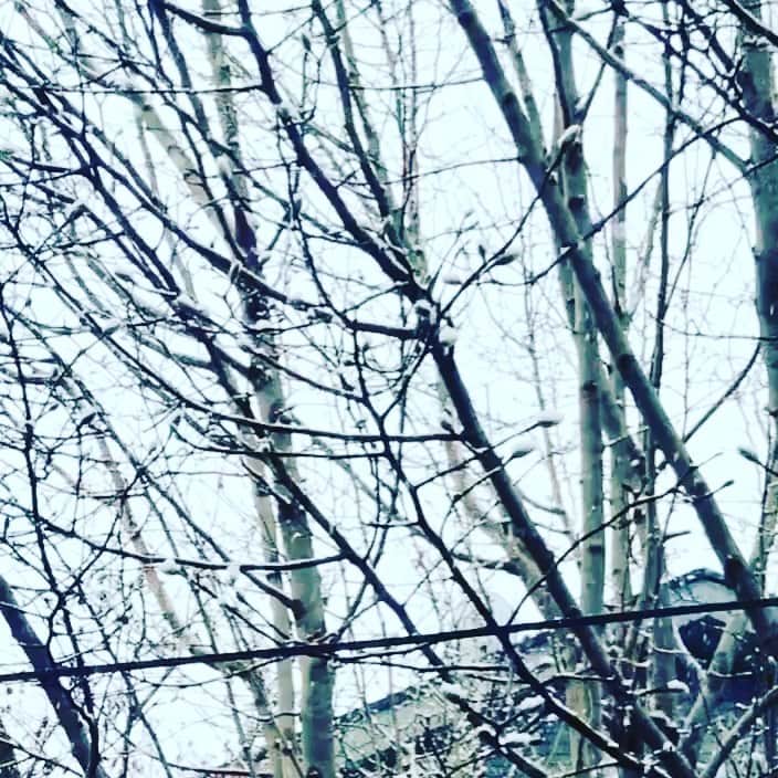 光野桃のインスタグラム