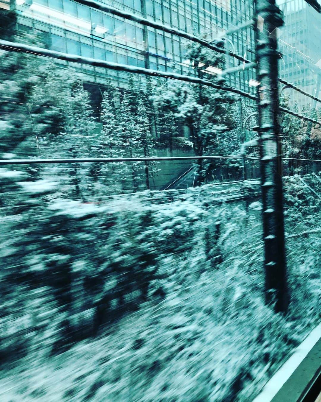 栗原類さんのインスタグラム写真 - (栗原類Instagram)「雪が綺麗だよ。そう言えば、去年も降っていたね、思い出すよ。 #snow」1月6日 15時05分 - louis_kurihara