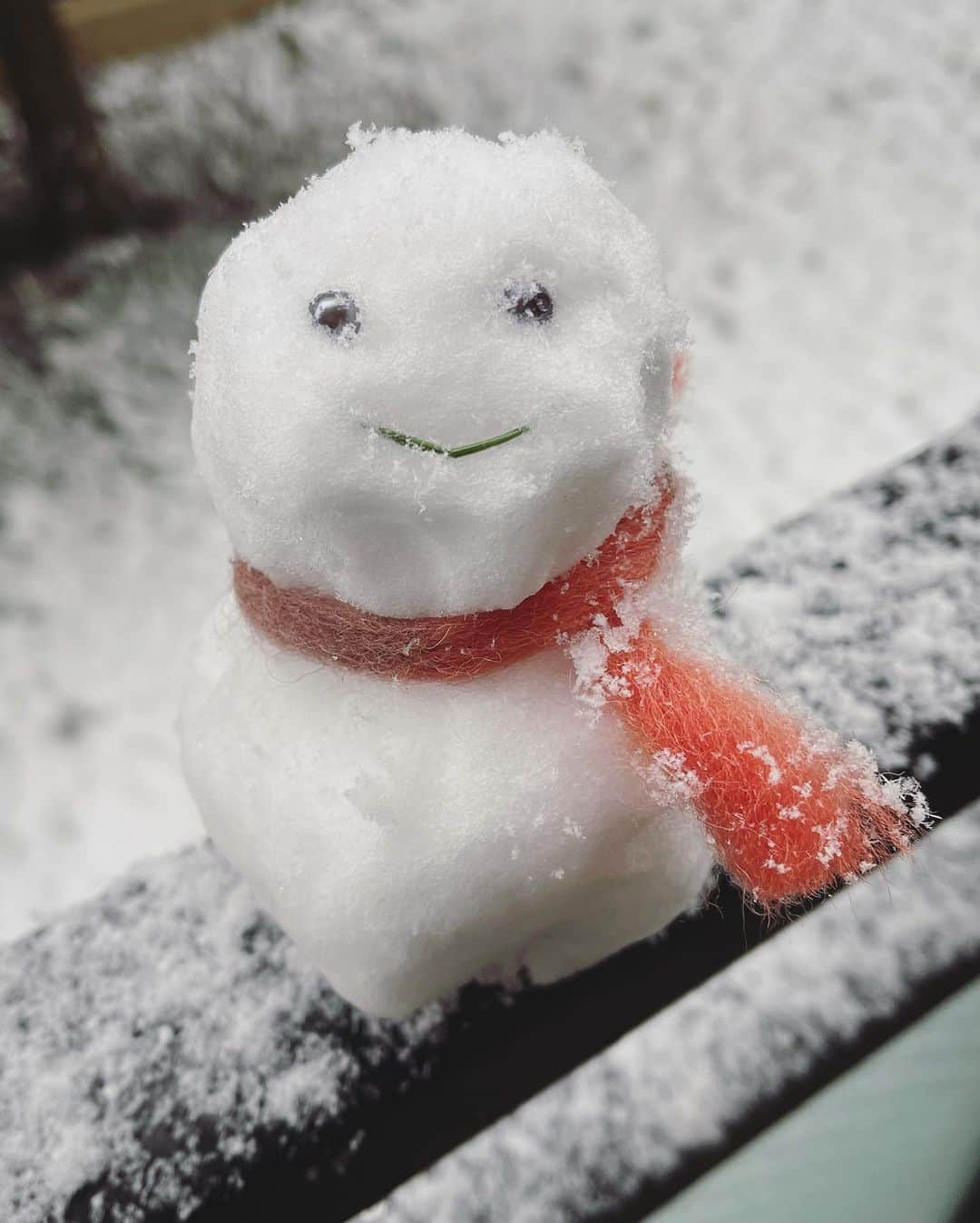 石川亜沙美さんのインスタグラム写真 - (石川亜沙美Instagram)「⛄️❄️ #雪 #積雪 #tokyo  #2022.1.6」1月6日 15時18分 - asamiishikawa1016