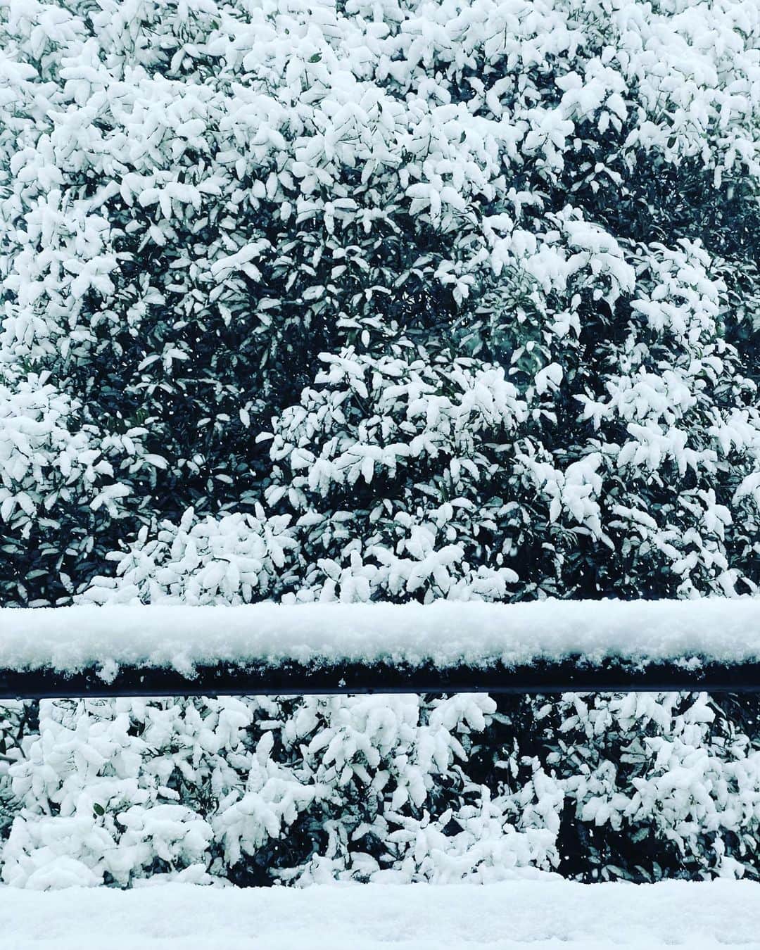 西内ひろのインスタグラム：「From my room! Tokyo is a snowy landscape⛄️  一旦、自宅へ。  ベッドルームからの景色が、まるで東北へ来たみたいで  ワクワクしますね⛄️⛄️⛄️  ちょうどニセコに行きたかったけど 行けなかったので嬉しい😂笑。  ニセコ気分を味わおうww  #snow #雪景色 #東京雪景色 #都会の雪」
