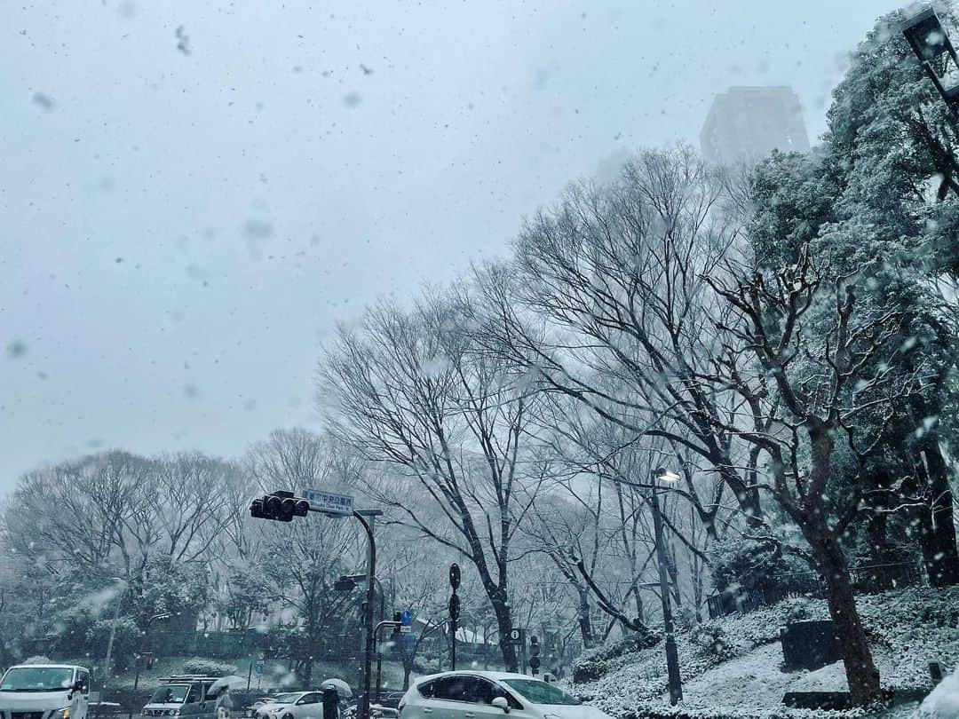 井上和香さんのインスタグラム写真 - (井上和香Instagram)「. すごーい！  東京なの？  真っ白☃️ . #気をつけて帰ってね #東京雪景色」1月6日 16時04分 - inoue_waka