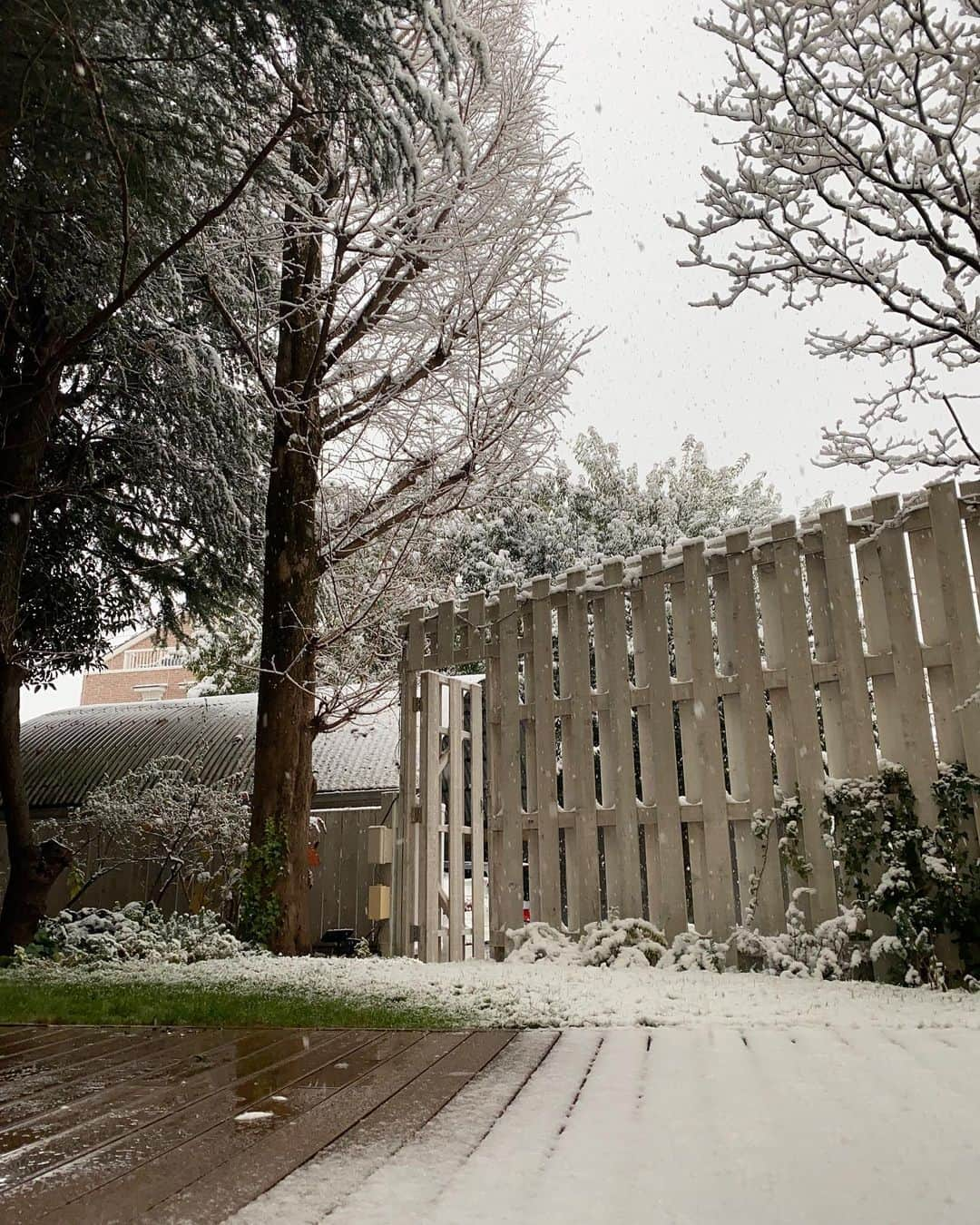 RIKACOさんのインスタグラム写真 - (RIKACOInstagram)「やっぱ雪☃️東京 寒いよね。こんな日は暖炉に火をつけて焼き芋だっぺよ🍠 和む〜 . 蓮の急性胃腸炎は回復してます！ 熱は下がり後は胃腸の回復❤️‍🩹 がんば👍 自分の身体の為に今日は今から 参鶏湯を圧力鍋でトライするそうです！楽しみだな😊 . 私は元気なんです🤣 家族がインフルなどにかかっても私感染しないのだ👍 #雪 #寒い #参鶏湯」1月6日 16時14分 - rikaco_official