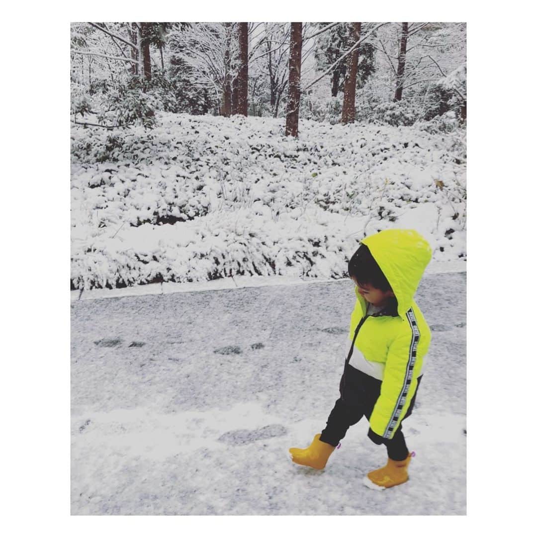 秋元玲奈さんのインスタグラム写真 - (秋元玲奈Instagram)「雪が降るのをずっと楽しみにしていた長男、 さっそく外に出て初めて、雪だるまを作りました⛄️ パパ、僕、ママ、そしてちゃんと弟達もいるそうです☺️ 外は寒いけど、ホッコリ🥰⛄️  #雪 #雪だるま #4歳 #三兄弟育児」1月6日 16時31分 - rena_akimoto