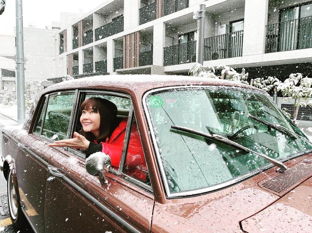 観月ありささんのインスタグラム写真 - (観月ありさInstagram)「東京も雪が降りましたねぇ〜❄️  どんどん積もってます。 お怪我の無いように気を付けてお過ごし下さいませ。  #観月ありさ #東京 #2022年  #私の中では初雪 #寒いけど #雪を見るとワクワク #雪化粧」1月6日 16時50分 - alisa_mizuki