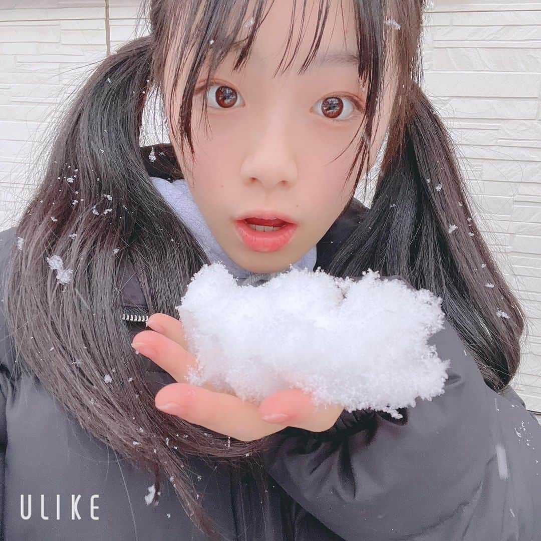 ひまひまチャンネルさんのインスタグラム写真 - (ひまひまチャンネルInstagram)「雪☃️☃️☃️☃️  ついに❕東京にも雪が❕ 雪だるまつくっちゃいました☃️  アロマも雪を楽しんでました💭   #ひまひまチャンネル  #ひまひま #東京 #雪」1月6日 16時53分 - himahima_channel