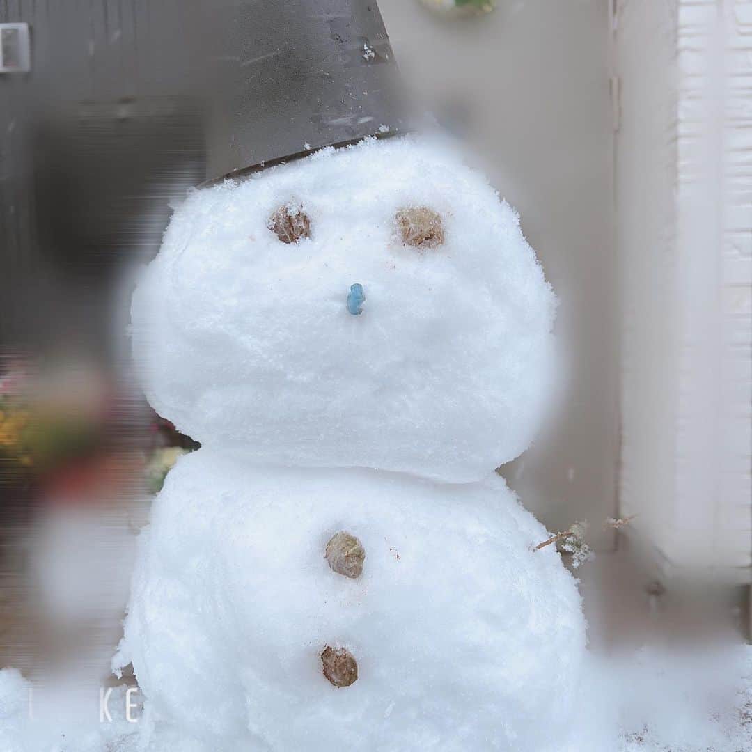 ひまひまチャンネルさんのインスタグラム写真 - (ひまひまチャンネルInstagram)「雪☃️☃️☃️☃️  ついに❕東京にも雪が❕ 雪だるまつくっちゃいました☃️  アロマも雪を楽しんでました💭   #ひまひまチャンネル  #ひまひま #東京 #雪」1月6日 16時53分 - himahima_channel