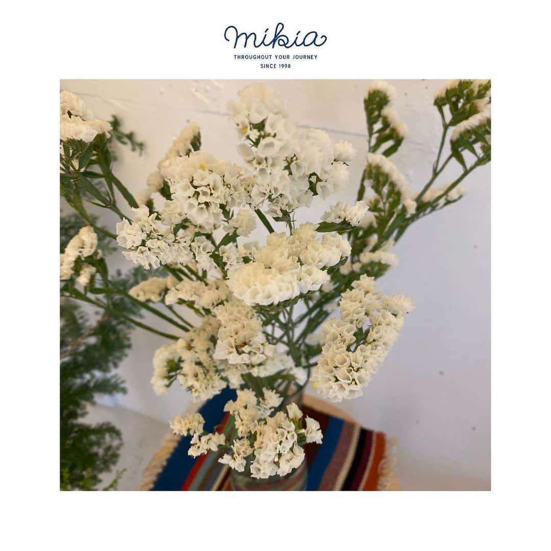 ミキアのインスタグラム：「今日のﾐｷｱギャラリーの花は 東京に降っている雪の様な花です。  Today's flowers in the Mikia Gallery are A flower that looks like snow falling in Tokyo. @mikiajewelry #flowers#snow」