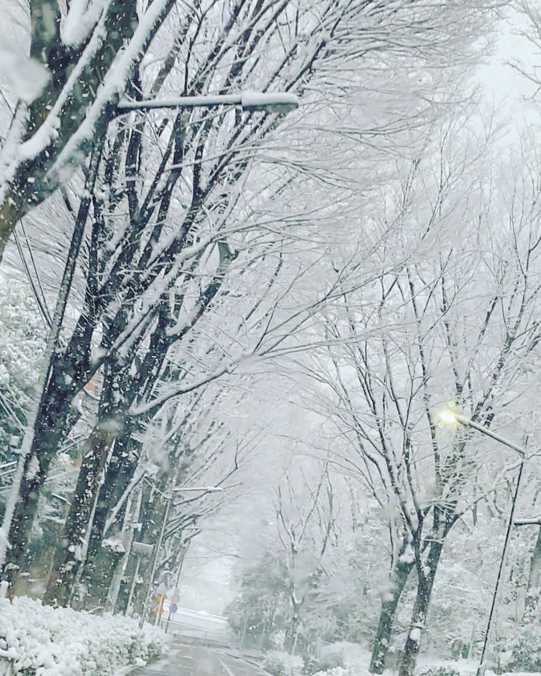 高岡早紀 さんのインスタグラム写真 - (高岡早紀 Instagram)「東京。 午後4時。 雪。 予定をキャンセルして、ウチに籠る。 皆んな、気をつけて帰宅してね。」1月6日 16時55分 - saki_takaoka