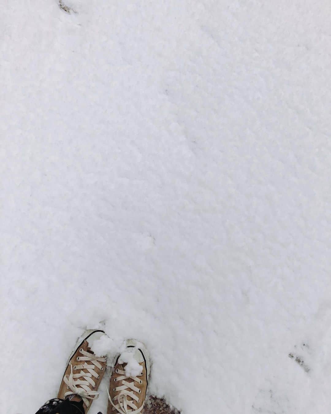 山本里菜さんのインスタグラム写真 - (山本里菜Instagram)「. 東京も銀世界が広がっています❄️  雪を見るとスノボしたくなります〜 今年は行けるといいなぁ☺️  皆さん！滑らないようにお気をつけください。帰り道何度かツルッといきました。危ない危ない。  そして運転の際も十分にお気をつけてくださいませ🚗  今日はあったか〜い鍋にします🫕🤍  #雪　#銀世界　#雪景色」1月6日 17時18分 - rinayamamoto_0622
