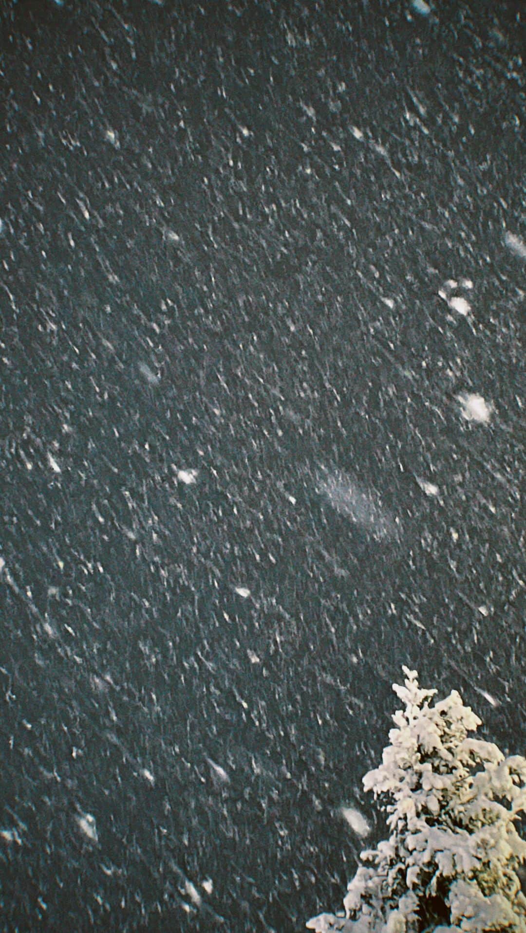 板橋よしえのインスタグラム：「⛄️❄️🌨」