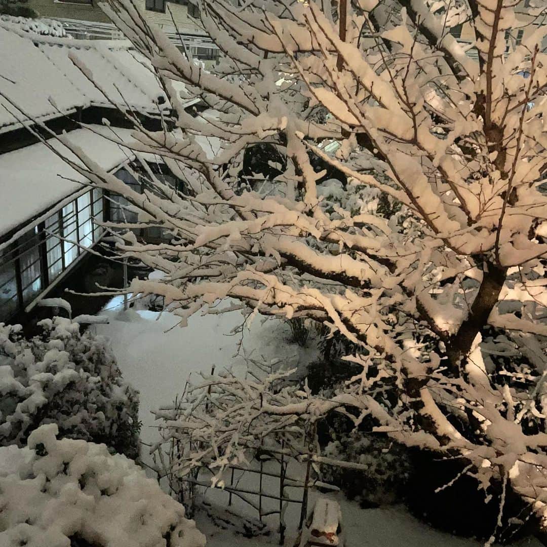 佐野史郎さんのインスタグラム写真 - (佐野史郎Instagram)「武蔵野雪景」1月6日 18時09分 - sanovabitch