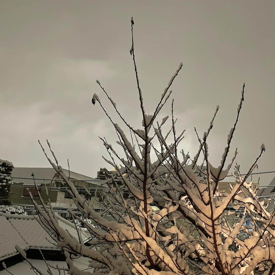 佐野史郎のインスタグラム：「武蔵野雪景」