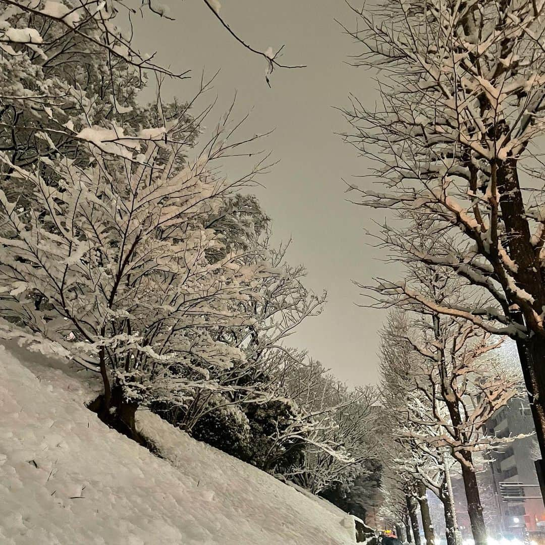 吉井明子さんのインスタグラム写真 - (吉井明子Instagram)「関東や東海では雪が強まって 東京都心も大雪になりました。 午後5時の積雪8センチ、東京の都心で積雪が観測されるのは2年ぶりです。  このあとも、大雪による交通への影響や路面の凍結に警戒が必要です。 足元にも十分お気をつけください。  #東京の空 #大雪 #気象情報 #天気予報 #気象予報士 #気象キャスター#weatherforecaster #기상캐스터　#氣象主播 #吉井明子 #nhk #bs4k #bs1 #bsニュース4k」1月6日 18時16分 - akiko_yoshii_sunny_rain