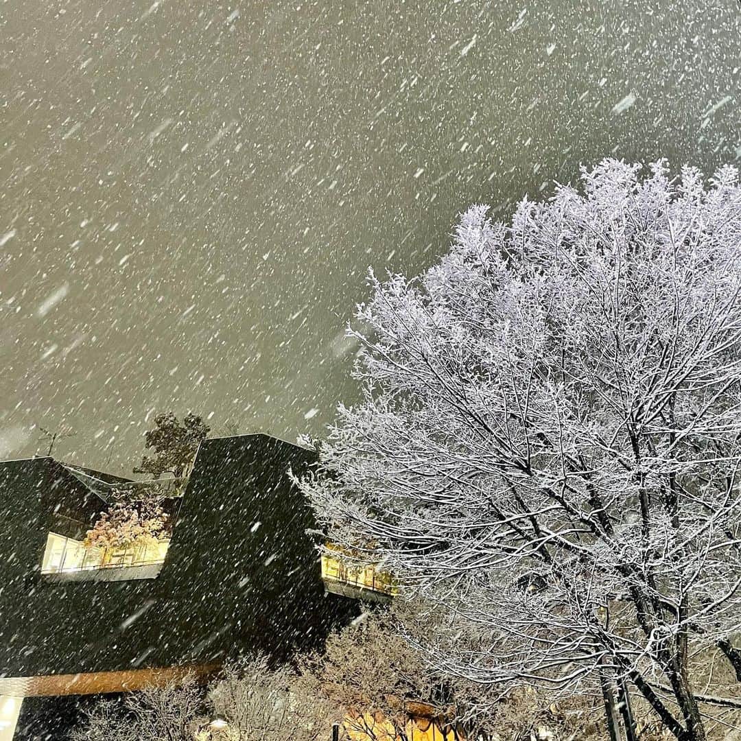 吉井明子さんのインスタグラム写真 - (吉井明子Instagram)「関東や東海では雪が強まって 東京都心も大雪になりました。 午後5時の積雪8センチ、東京の都心で積雪が観測されるのは2年ぶりです。  このあとも、大雪による交通への影響や路面の凍結に警戒が必要です。 足元にも十分お気をつけください。  #東京の空 #大雪 #気象情報 #天気予報 #気象予報士 #気象キャスター#weatherforecaster #기상캐스터　#氣象主播 #吉井明子 #nhk #bs4k #bs1 #bsニュース4k」1月6日 18時16分 - akiko_yoshii_sunny_rain
