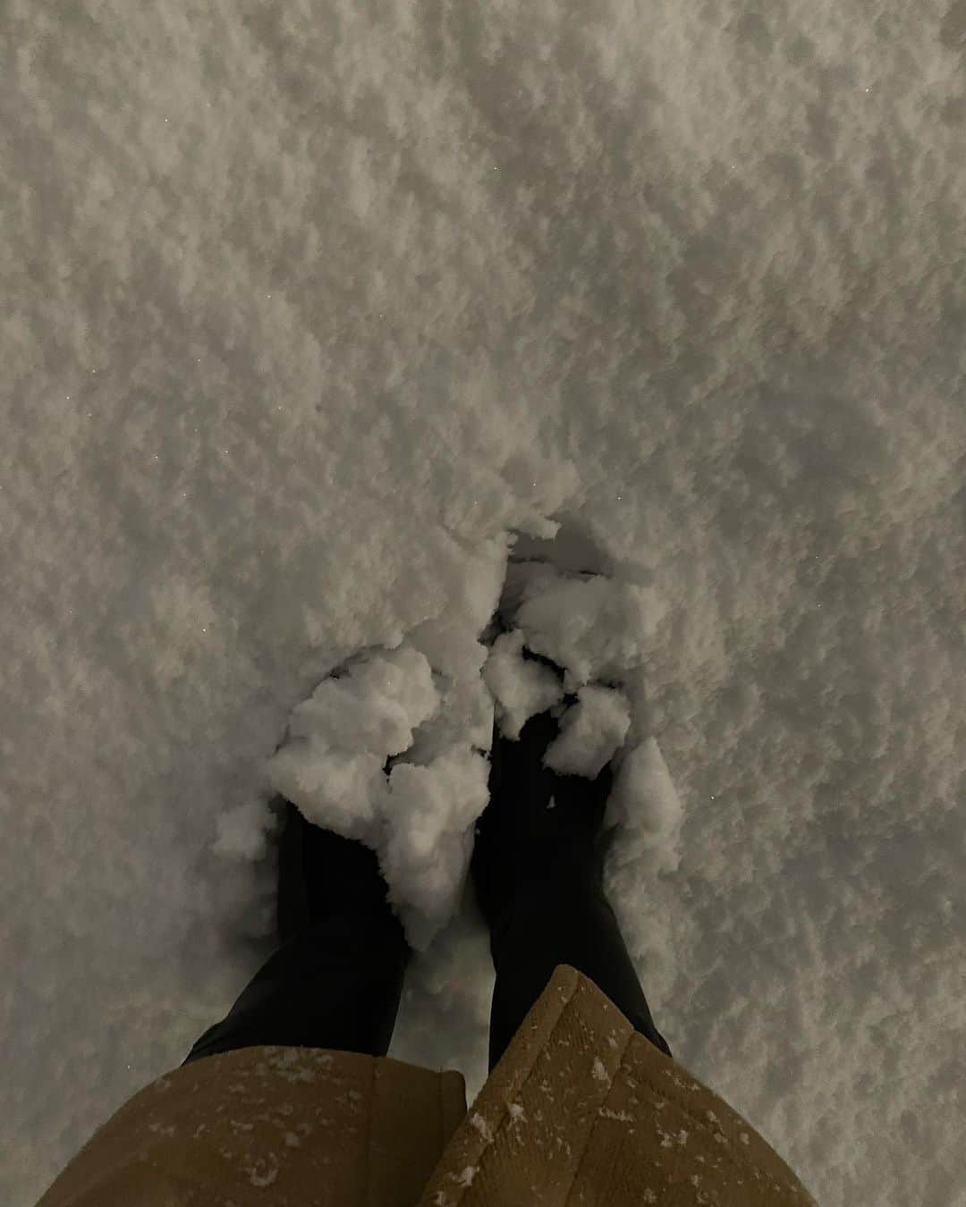 鈴木保奈美さんのインスタグラム写真 - (鈴木保奈美Instagram)「ここはどこっ？東京なのかっ？ そして用もないのに小一時間もポコポコと新雪を踏み回って喜ぶわたし。浮かれてる。 子供か。 犬か。  #これから帰宅する方くれぐれも足元お気をつけください」1月6日 18時25分 - honamisuzukiofficial