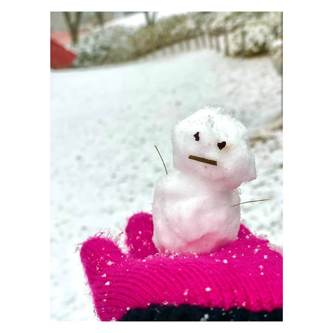 長野美郷さんのインスタグラム写真 - (長野美郷Instagram)「雪だーーー！！！  寒いし早く帰らなきゃいけないのに、 ついつい☃️  久しぶりの雪の感触にテンション上がって…！ 指先がジンジンします😂  まだまだ降りそうですね。 帰り道、明日の朝も足元お気をつけくださいね！  交通インフラ、宅配など物流で働く皆さん、他にも… 本当に助かってます ありがとうございます！  #雪　#雪だるま #寒い中おつかれさまです」1月6日 18時18分 - misato_nagano_1127