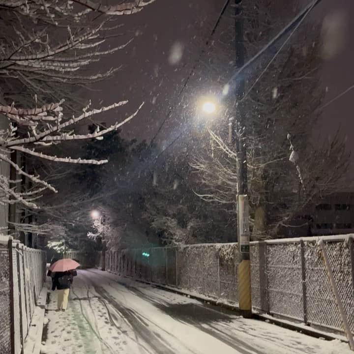 のインスタグラム：「TOKYO SNOW  #SNOW #tokyo」