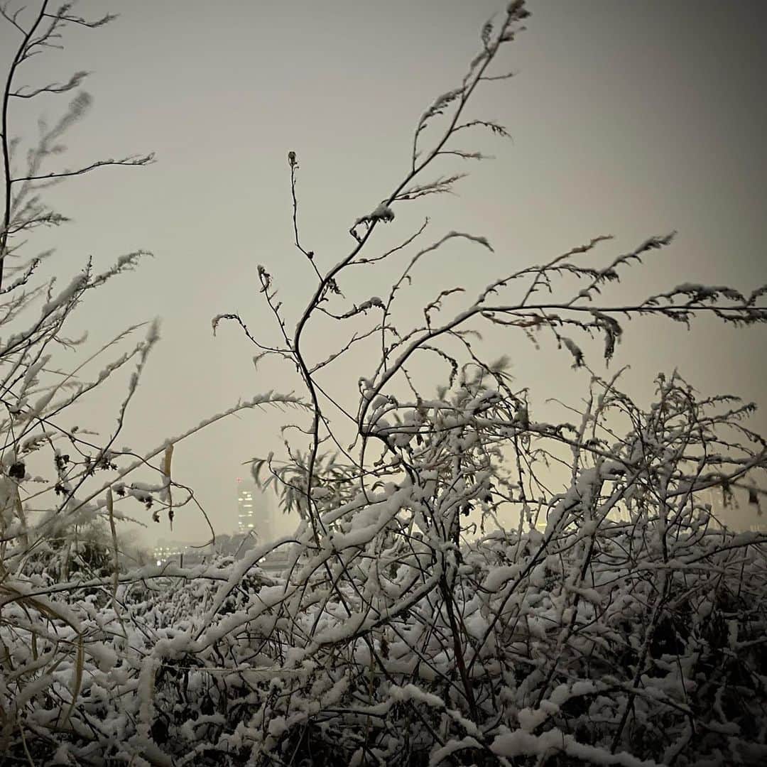 sioneのインスタグラム：「雪予報は見事に的中。念のためエスクードで出勤しといて良かったー😇 #エスクード　#tda4w」