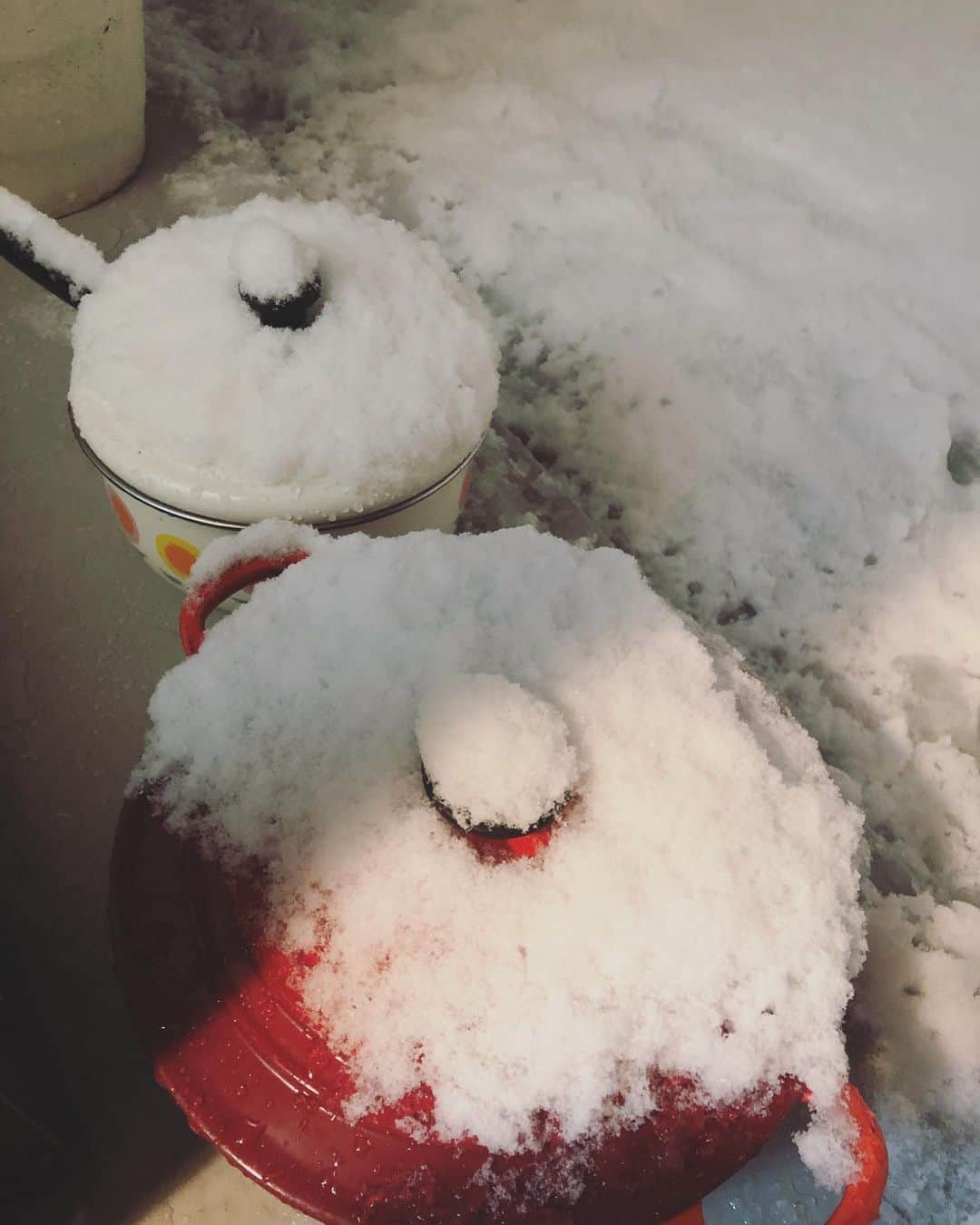 堀田ゆい夏さんのインスタグラム写真 - (堀田ゆい夏Instagram)「. 雪に興味津々のぴいなっつ氏🦁 冷蔵庫代わりにベランダに置いていた鍋にまで雪が積もってる！  お味噌汁とおでん... 中身はきっと大丈夫😅  4枚目はぴいなさんを雪の中にポイっとしてできた足跡。 後ろ足開き気味。 かわいい☺️  #雪#猫#ねこのいる生活#心地よい暮らし#cat#catsofinstagram」1月6日 18時42分 - yuika_a0902