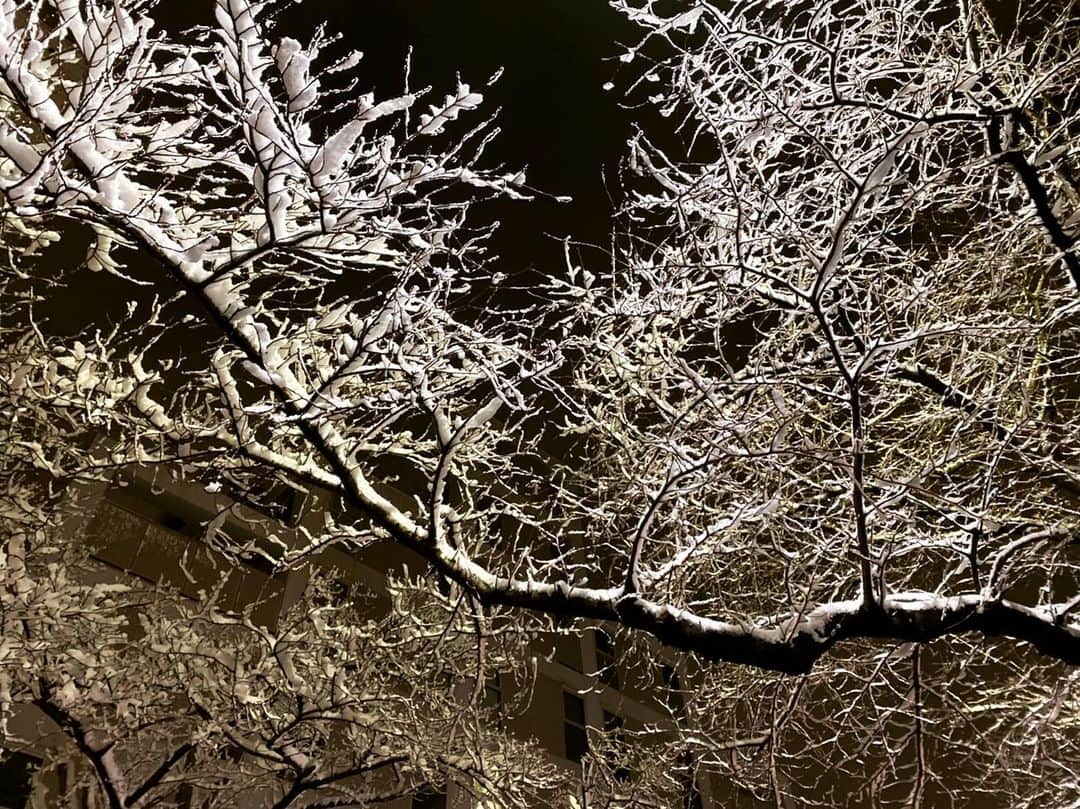 田中理恵さんのインスタグラム写真 - (田中理恵Instagram)「雪❄️が綺麗だねぇ🤎 皆さま、外を歩くときは気をつけてくださいね😌‼︎‼︎」1月6日 19時35分 - riiiiiie611