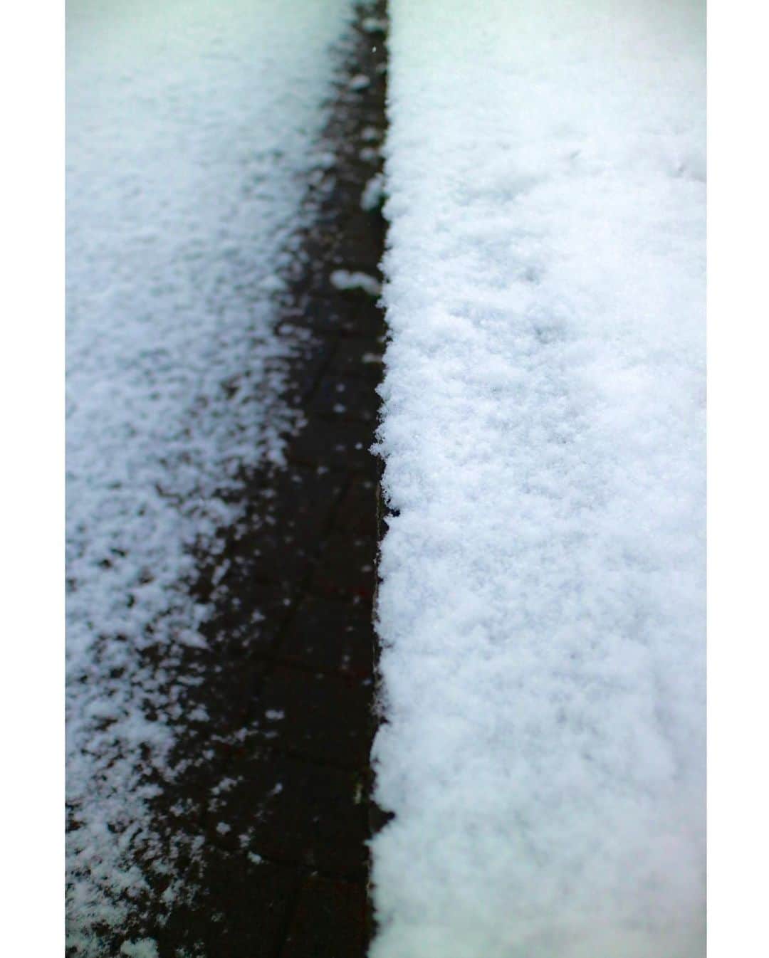 斎藤ちはるさんのインスタグラム写真 - (斎藤ちはるInstagram)「東京でも雪…☃️ . 凍えそうになりながらも、久しぶりの雪を写真に収めました📸 . . #カメラ #持ち歩いてて #良かった #皆さん #足元 に #お気をつけくださいね #chihashot . . #斎藤ちはる#テレビ朝日アナウンサー#テレビ朝日#テレ朝#アナウンサー#雪#東京#ゆき#雪景色#乃木神社#初詣#私服#スニーカー#スーパースター#鳥居#白#冬#❄️#☃️」1月6日 20時15分 - chiharu_saito_ex