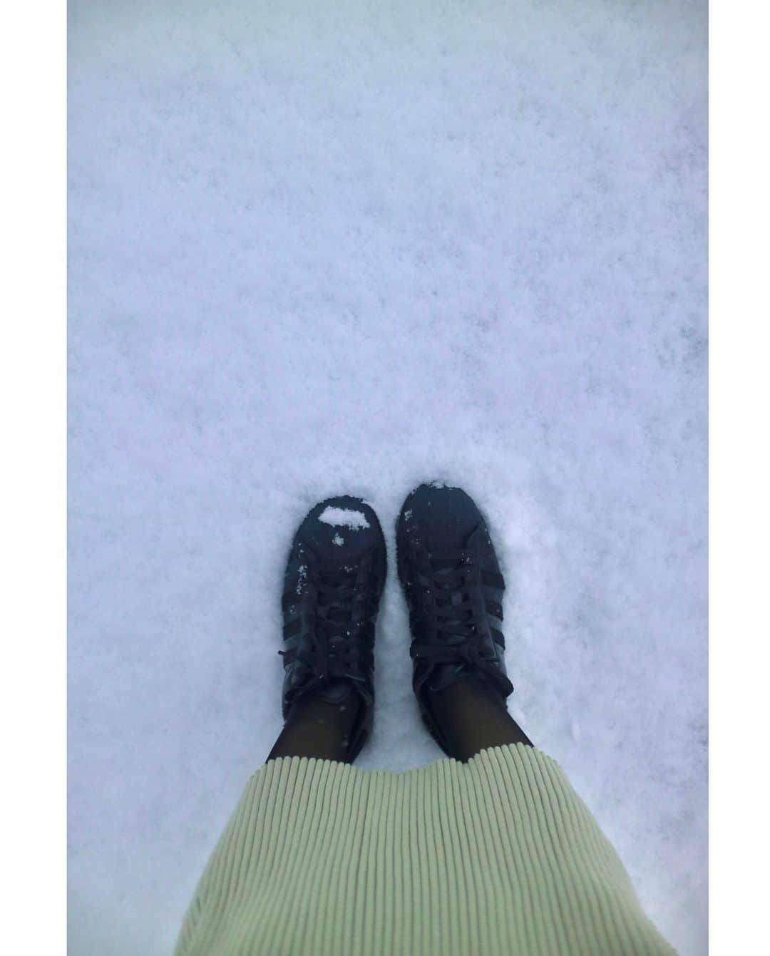 斎藤ちはるさんのインスタグラム写真 - (斎藤ちはるInstagram)「東京でも雪…☃️ . 凍えそうになりながらも、久しぶりの雪を写真に収めました📸 . . #カメラ #持ち歩いてて #良かった #皆さん #足元 に #お気をつけくださいね #chihashot . . #斎藤ちはる#テレビ朝日アナウンサー#テレビ朝日#テレ朝#アナウンサー#雪#東京#ゆき#雪景色#乃木神社#初詣#私服#スニーカー#スーパースター#鳥居#白#冬#❄️#☃️」1月6日 20時15分 - chiharu_saito_ex