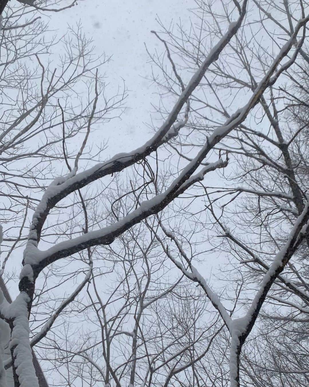 佐野光来のインスタグラム：「雪のなかとか水のなかとか静かで呼吸と自分だけになれる場所が好きです 東京も雪が降りましたね（これはお正月の草津の写真）  みんなは好きな場所ありますか？」