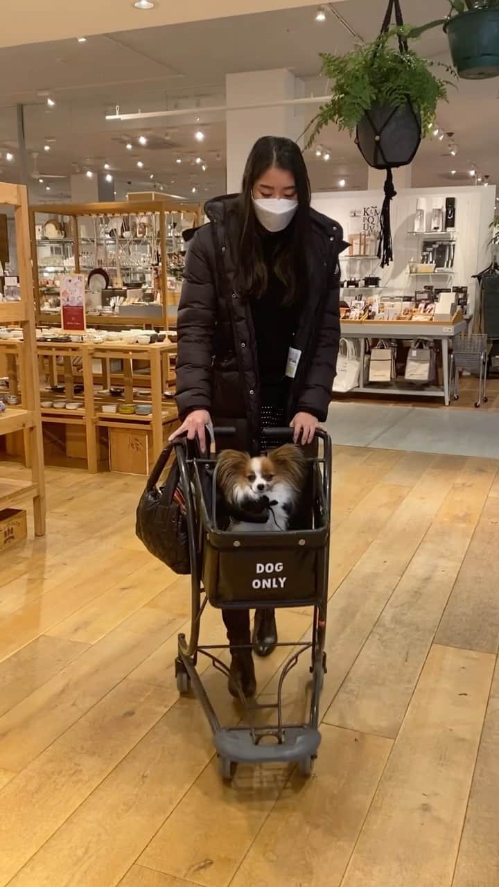 湯田葉月のインスタグラム