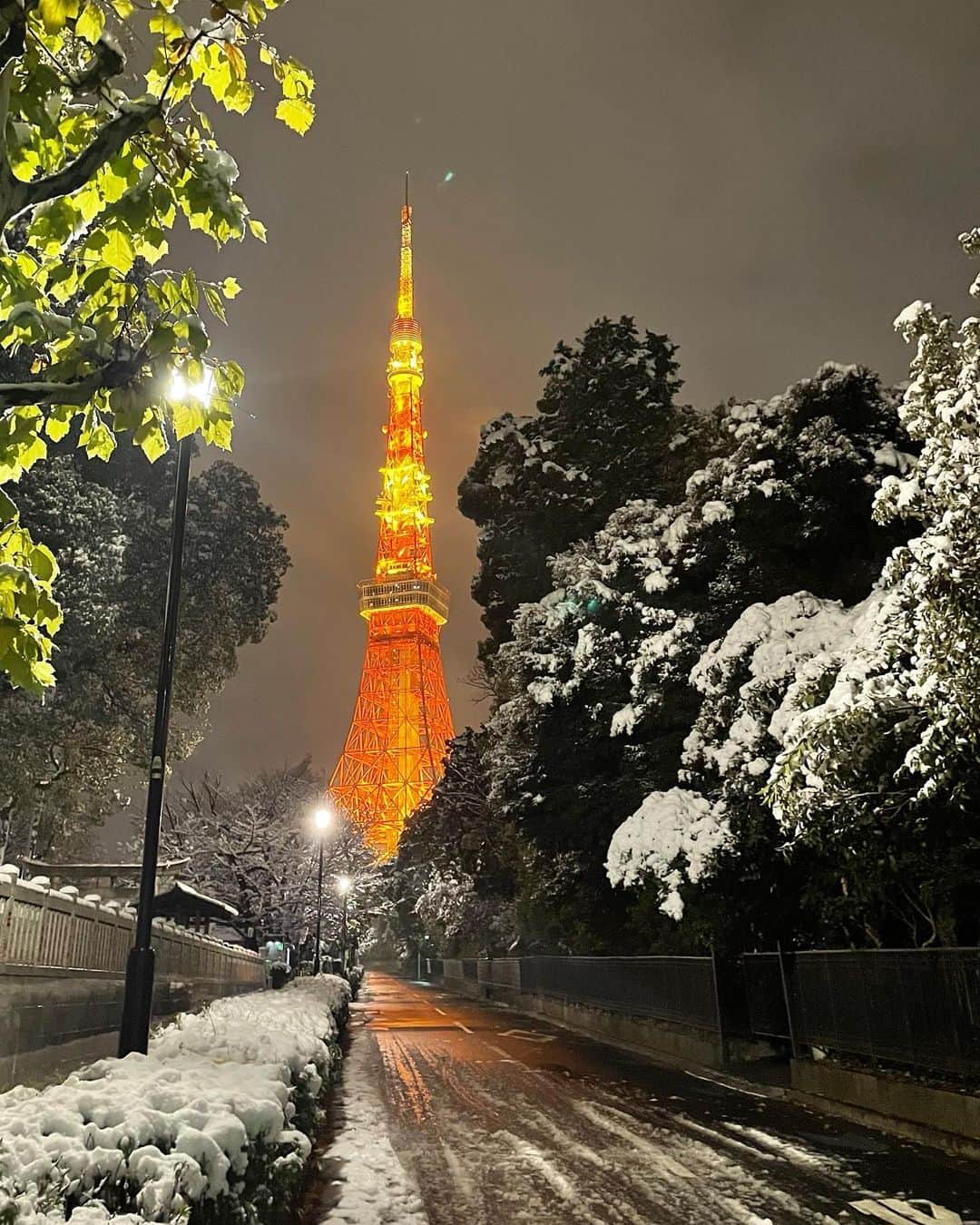 岡安弥生さんのインスタグラム写真 - (岡安弥生Instagram)「東京も雪が、結構降りましたね✨早速、滑って転びました(^^;; 今夜は、かなり冷えるようなので、皆様、凍結にお気をつけて！ #雪#積雪#東京#東京タワー#冷えますね#雪景色#寒い#tokyotower #snow#tokyo」1月6日 22時47分 - yayoin3
